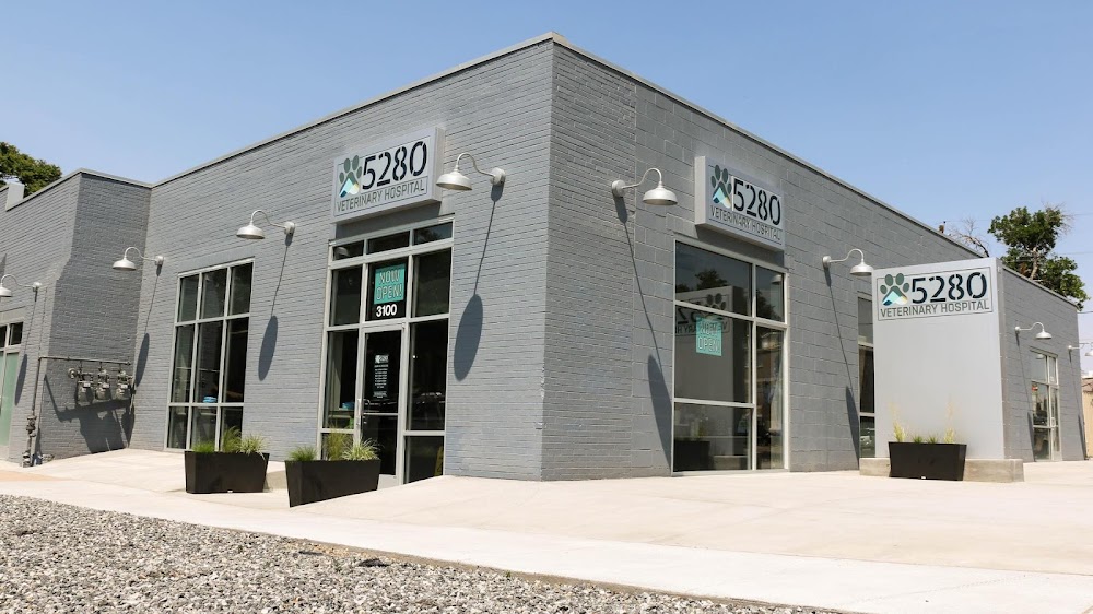 5280 Veterinary Care