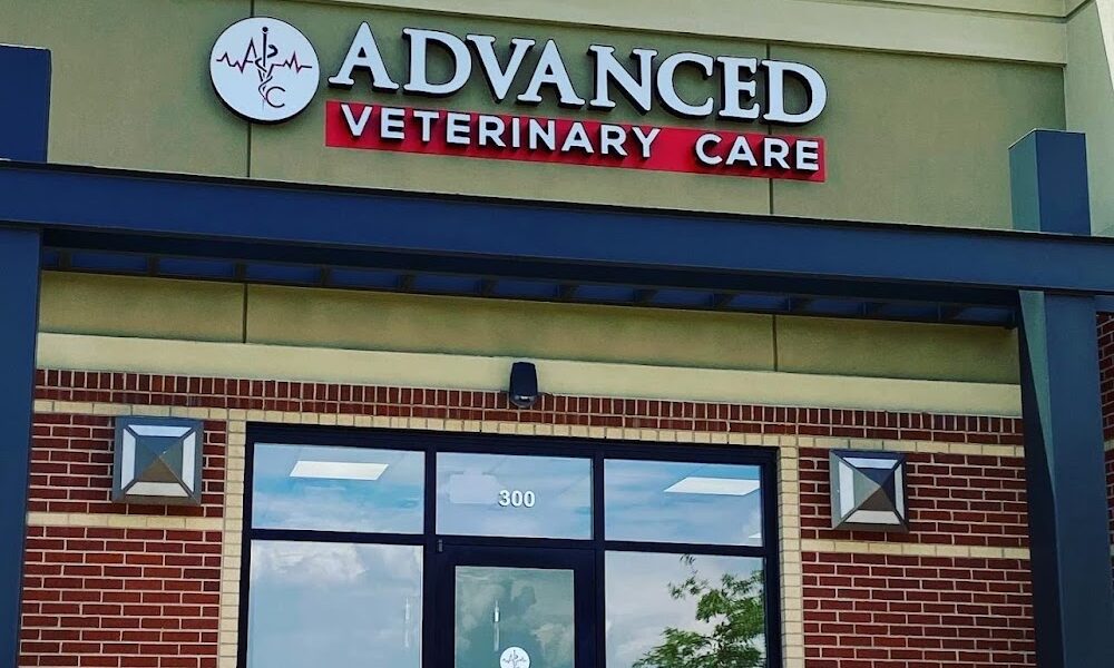 Advanced Veterinary Care of Greenwood Village