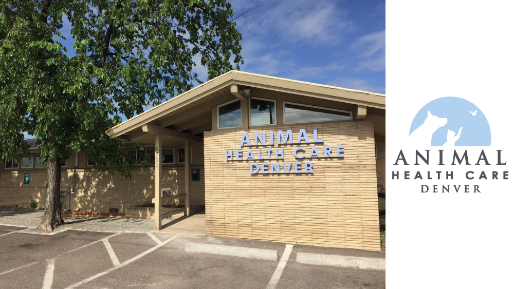 Animal Health Care Denver