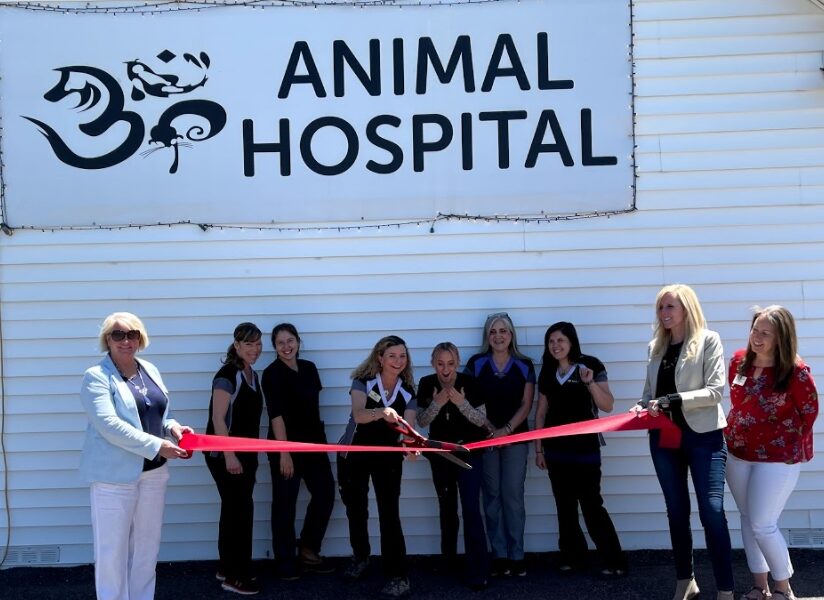 Aspen Park Vet Hospital, Jena Questen DVM CertAqV, & Associates