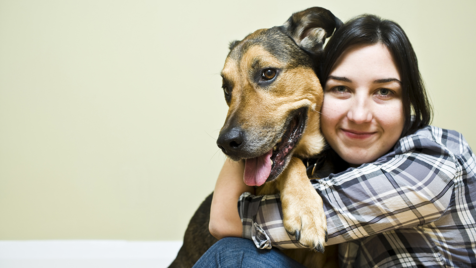 Aurora Animal Hospital