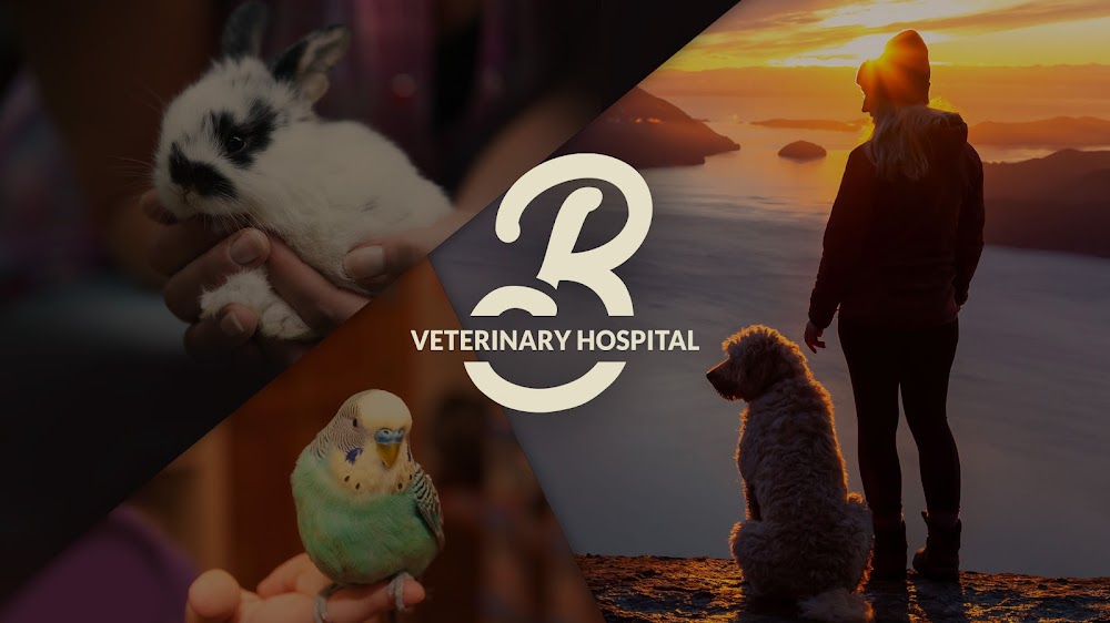 Broomfield Veterinary Hospital