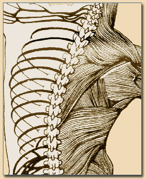 ChirOmega Chiropractic & Physical Wellness