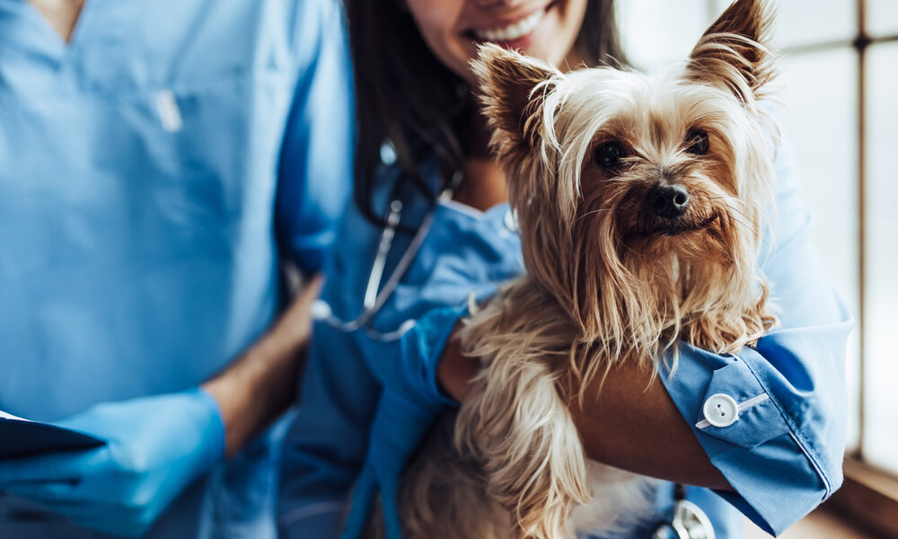 Fort Lupton Veterinary Hospital