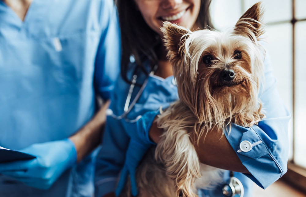 Fort Lupton Veterinary Hospital