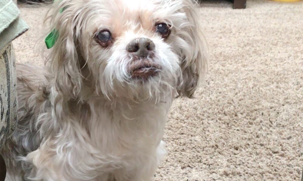 Front Range Veterinary Clinic