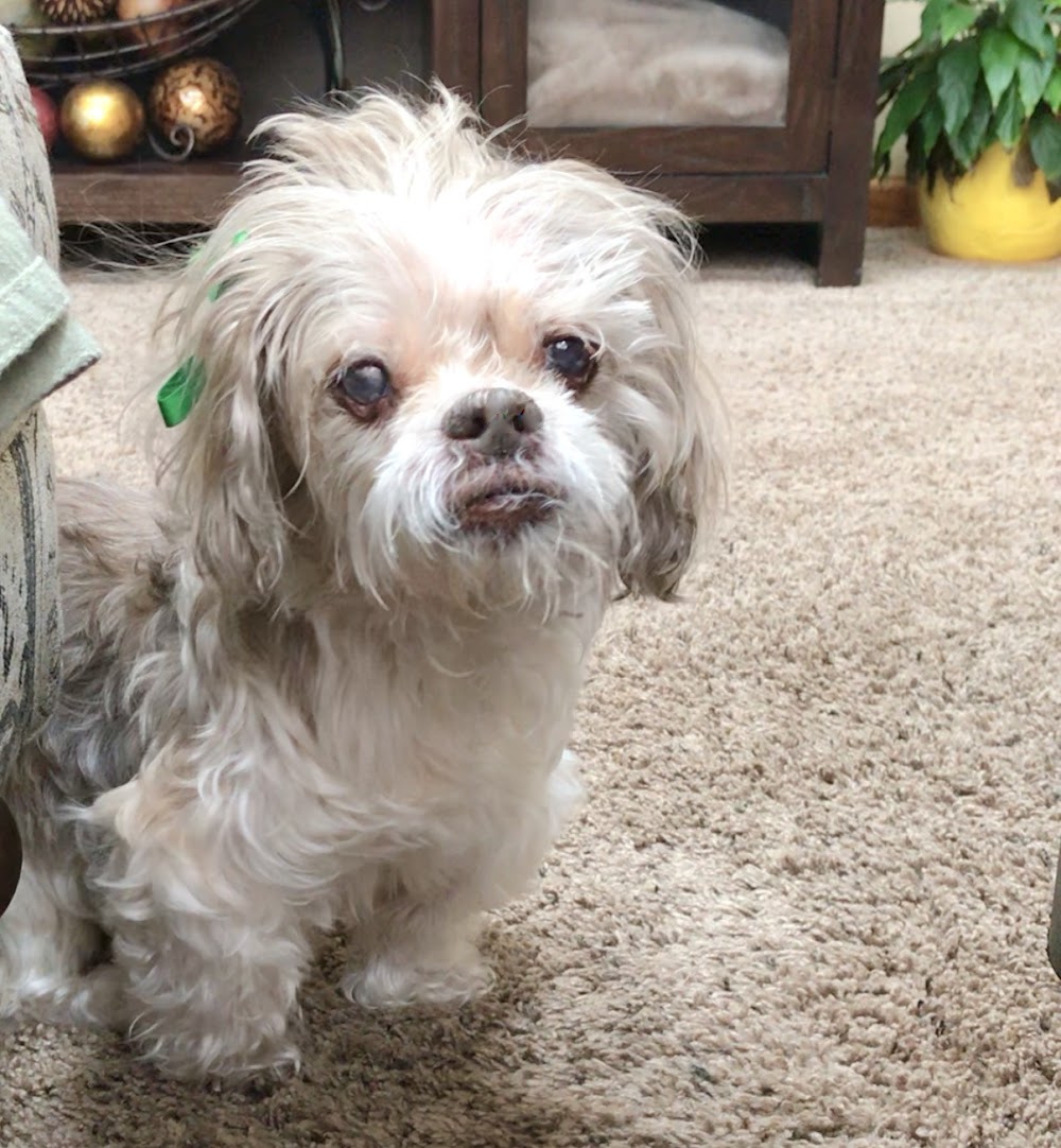 Front Range Veterinary Clinic