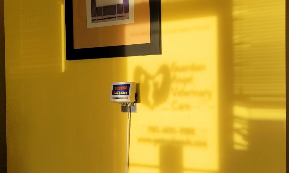 Guardian Angel Veterinary Care