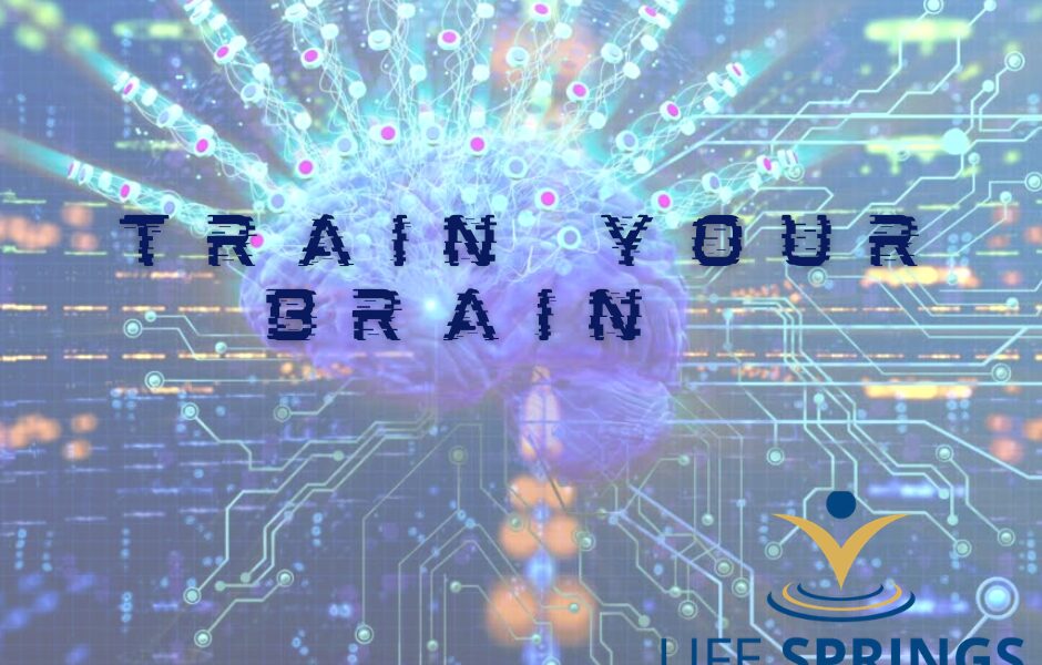 Life Springs Family Chiropractic