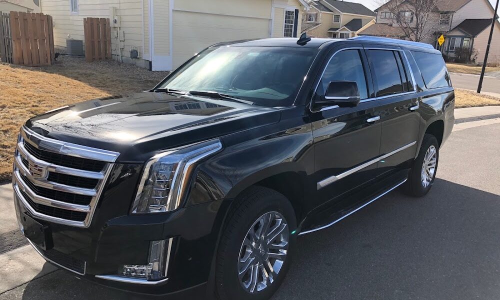 Mt Limousine Worldwide Inc