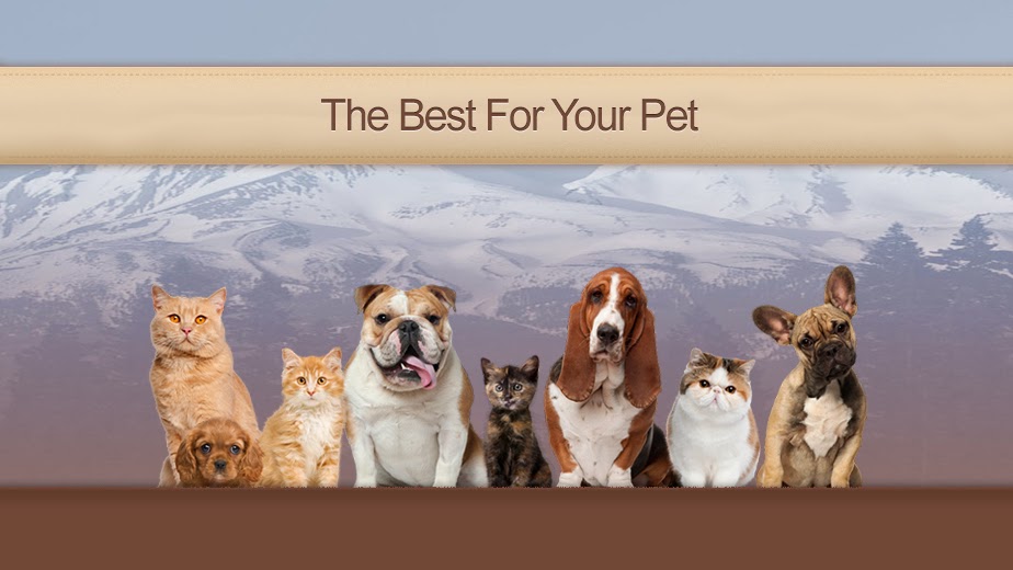 Pine Grove Animal Hospital, A Thrive Pet Healthcare Partner