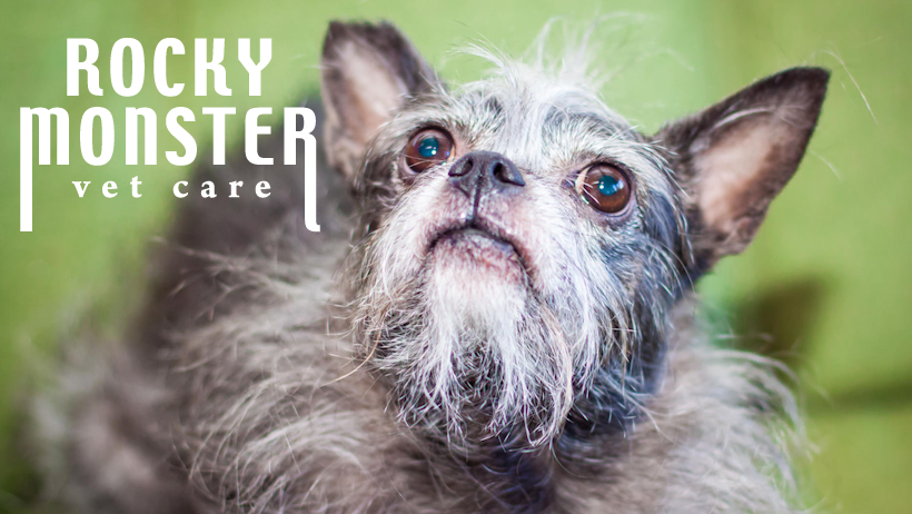 Rocky Monster Vet Care