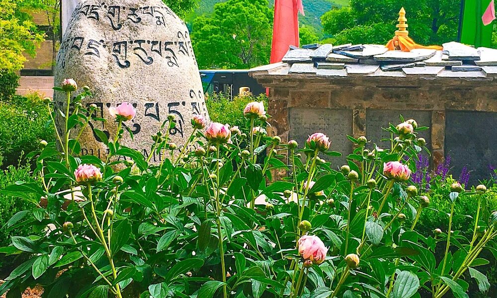 Sherpa Landscaping Inc