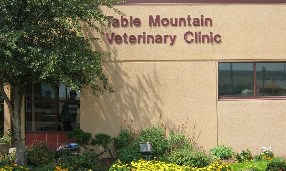 Table Mountain Veterinary Clinic