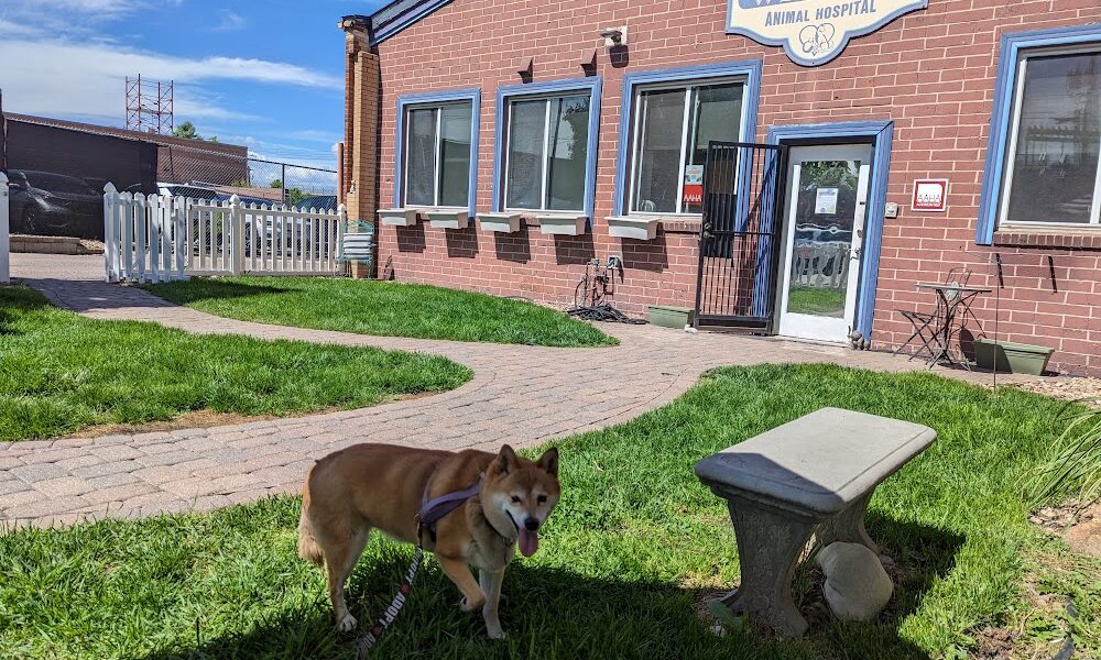 Tender Touch Animal Hospital