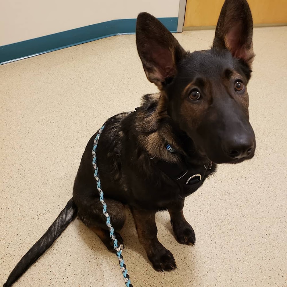 Urban Vet Care