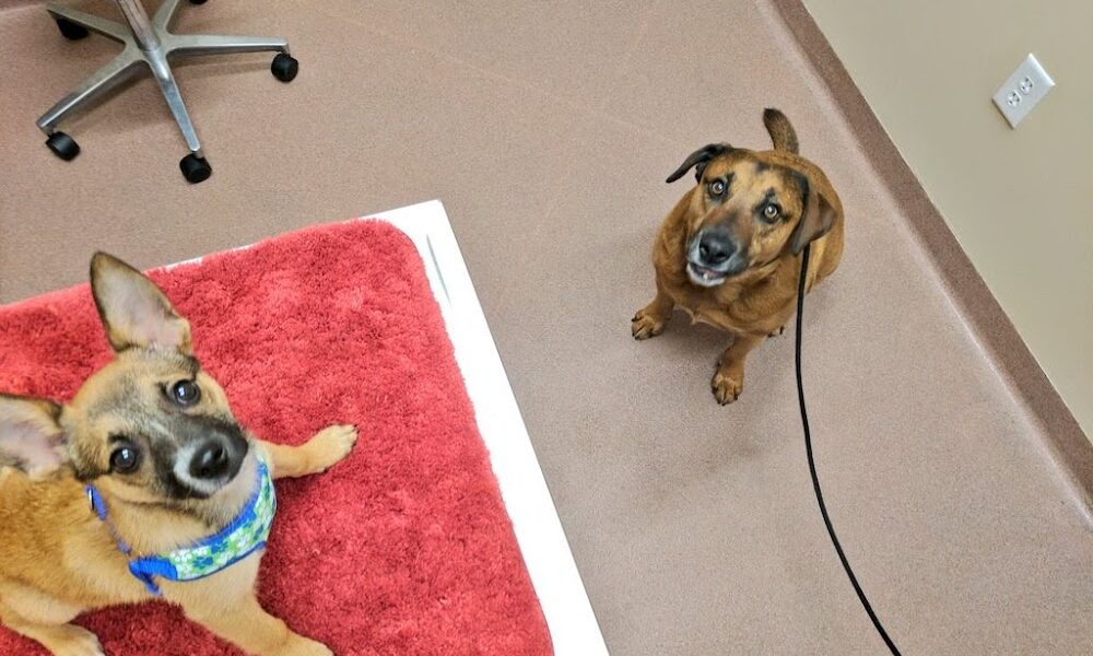 VCA Central Park Animal Hospital