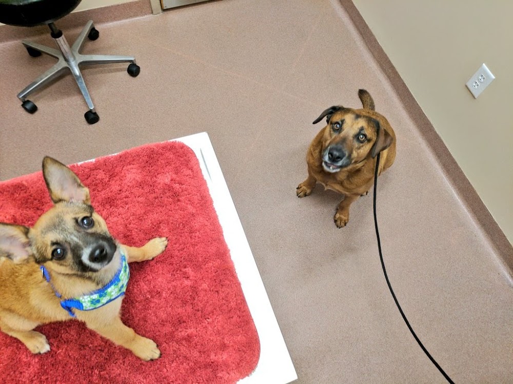 VCA Central Park Animal Hospital