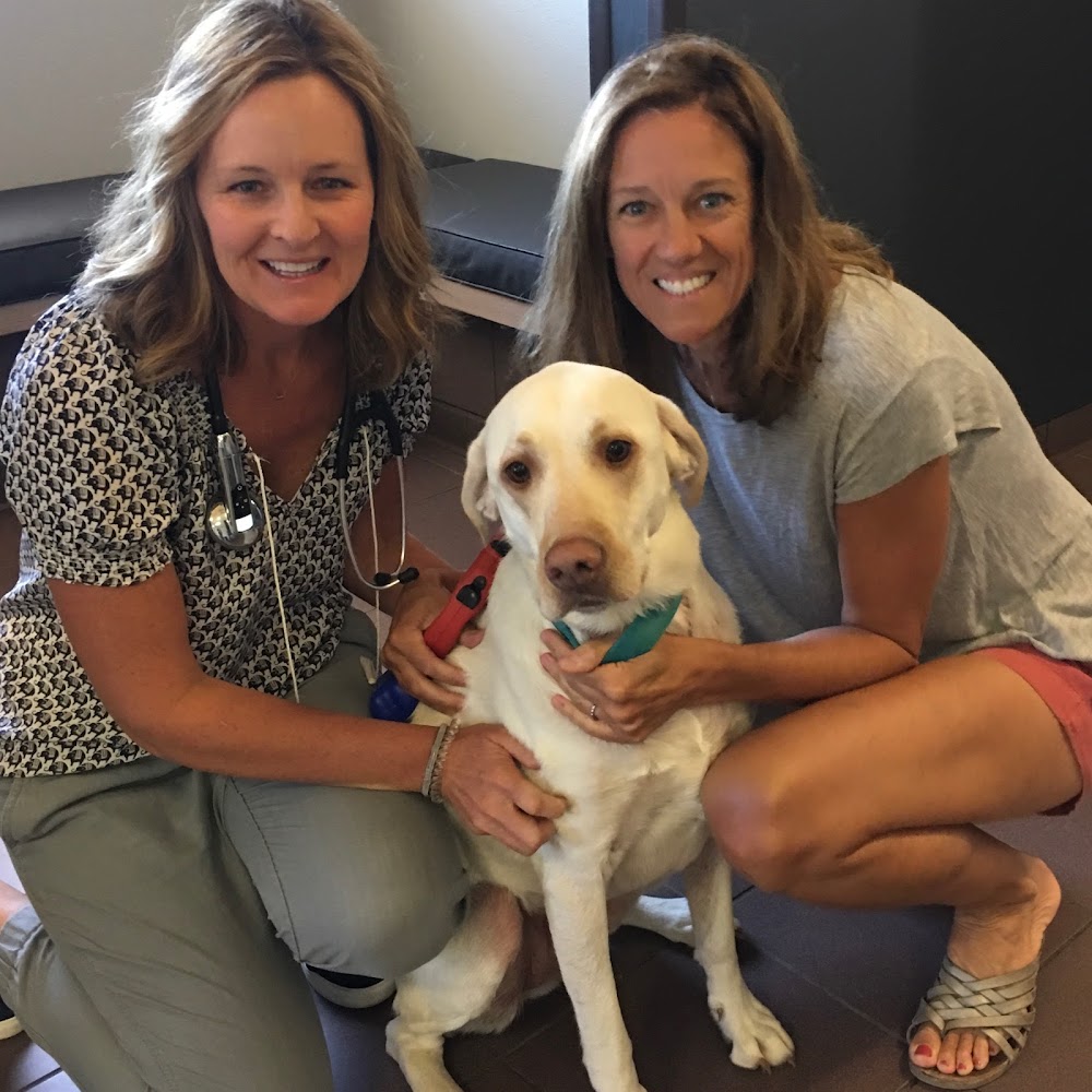West Denver Veterinary Hospital & Wellness
