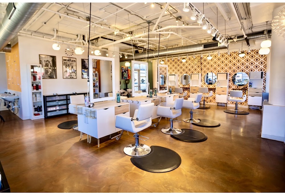 Revolver: A Salon